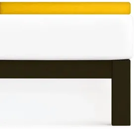 Traumschlaf Spannbettlaken Baumwolle-Polyester Frottee 120 x 200 - 130 x 200 cm gelb