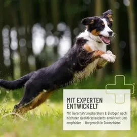 reavet EctoStop Spot On für Hunde 50 ml