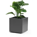 Euro3Plast Greener Kebe 40 x 40 x 40 cm Anthrazit