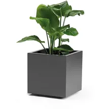 Euro3Plast Greener Kebe 40 x 40 x 40 cm Anthrazit
