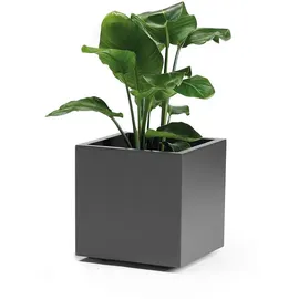 Euro3Plast Greener Kebe 40 x 40 x 40 cm Anthrazit