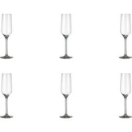 Royal Leerdam C6 Sektglas, 22 cl, quadratisch