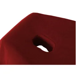 EXKLUSIV HEIMTEXTIL Massageliege Frottee Spannbettlaken mit Nasenschlitz Marke 70-80 cm x190-200 cm Bordeaux
