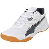 Puma Unisex Solarflash Ii Indoor Court Shoes, Puma White-Shadow Gray-Gum, 38 EU