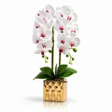 Kunstorchidee PASCH® Orchidee künstlich wie echt in Hochglanz-Keramiktopf Orchidee, PASCH, Hochglanz Keramiktopf