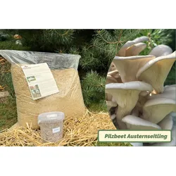 Austernpilz-Bio-Pilzbeet