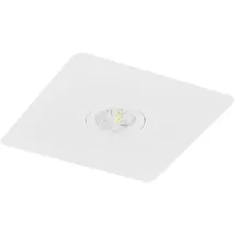 Fischer LED-Sicherheitsleuchte BQE815SC.V2