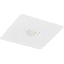 Fischer LED-Sicherheitsleuchte BQE815SC.V2