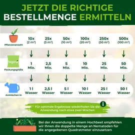 Legona SF-Nematoden gegen Trauermücken