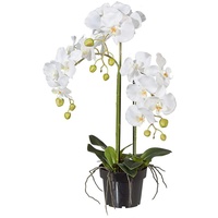 Kunstpflanze Orchidee Phalaenopsis weiß, im Kunststofftopf, ca. 62 cm