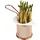 APS Servier-Frittierkorb Ø 8 cm, H: 7,5 cm, Griff 9,5cm