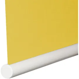 SUNLINES Seitenzugrollo One size Style uni 62 x 180 cm grün
