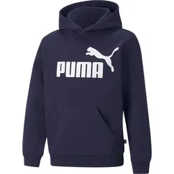Puma Essentials Big Logo Hoodie FL B peacoat (06) 140