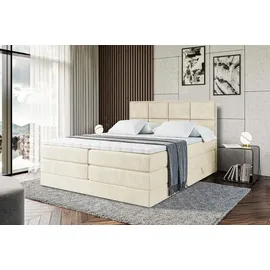 altdecor Boxspringbett mit Matratze, Topper, Polsterbett mit, Bettkasten NOVA KING | Beige Monolith | 140x200