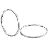 Boccia Titanium Creolen 0508-01 Titan silber 0508-01