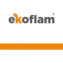 Kaminer Aschesauger ODK013-20L, feuerfest