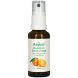 Bergland Pharma Raumspray Sunny Orange