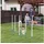 PawHut Agility Training Set 305 x 60 x 94 cm Weiß Blau