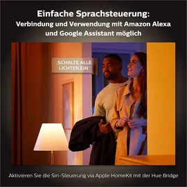 Philips Hue White Ambiance Pillar Doppelspot weiß