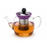 Rungassi Teekanne Glas Teekanne 1000 ml mit Glasfilter & Deckel Elegante, (Teekanne mit Glasfilter und Deckel) lila