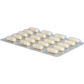 DR WOLZ ZELL GMBH Darmflora plus select Kapseln 40 St.