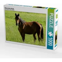 Calvendo Pferd auf der Weide 1000 Teile Lege-Größe 64