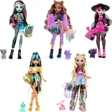Monster High 2022 Day Out (MTHKY73) Puppe mit Gelenken 25 cm