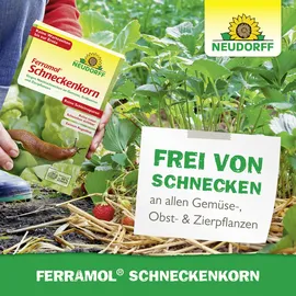 NEUDORFF Ferramol Schneckenkorn 1 kg