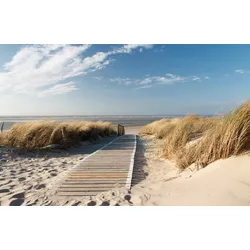 Fototapete PAPERMOON "Strand", bunt, B:4,50m L:2,80m, Vlies, Tapeten