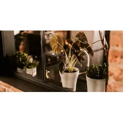 Wikholm form Design Pflanzgefäß / Blumentopf Keramik creme ⌀ 14 x H 16 cm