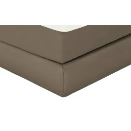 Wohnwert Dormian Bolge High 160 x 122 cm Beige