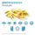 nfo Omega 3 Forte Kapseln 60 St.