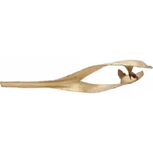 Europalms Palmblattkopf getrocknet gold