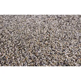 Andiamo Samson 50 x 80 cm Granit