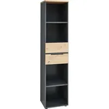 Innostyle Aktenregal 45 x 38 x 197 cm Graphit