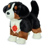 Teddy-Hermann Berner Sennenhund Welpe