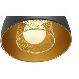 Trio Reality Pendelleuchte Punch 3-flammig Schwarz matt