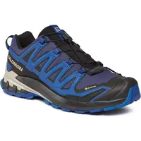 Salomon XA Pro 3D V9 GTX Herren Blue Print/Surf The Web/Lapis Blue 42