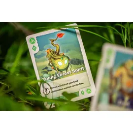 Renegade Game Studios The Vale of Eternity Kartenspiel deutsche Version