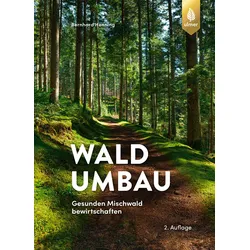 Waldumbau – Gesunden Mischwald bewirtschaften