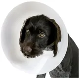 Kerbl Schutzkragen transparentes elisabethanisches Halsband für Hunde Größe S 12,5 cm