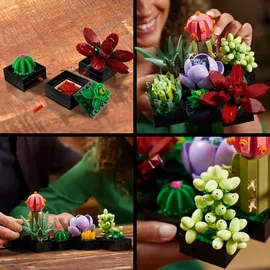 LEGO Botanicals Creator Expert Sukkulenten 10309