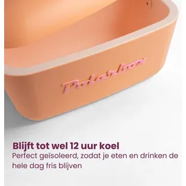 POLARBOX Kühlbox Classic 20 l