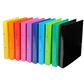 Exacompta Iderama Ringbuch 2-Ringe farbsortiert 4,0 cm DIN A4