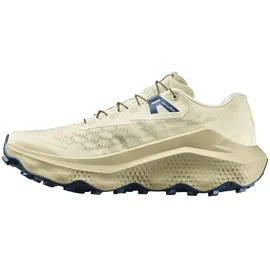 Salomon Ultra Glide 4 Herren Beige 44