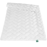 fan f.a.n.: Medicott Soft Leichtsteppbett 135x200 cm