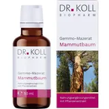 Dr. Koll Biopharm GmbH Gemmo-Mazerat Mammutbaum Sequoia gigantea