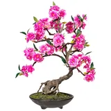 Creativ green künstliche Pflanze Bonsai cerasum, ca 50cm