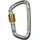 Climbing Technology Karabinerhaken D-Shape