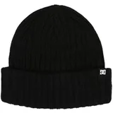 DC Shoes Fish N Destroy 2 Schwarz